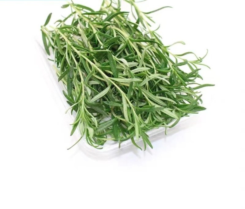 新鲜迷迭香大量供应。每天供应3~5吨。支持一键代发。