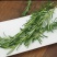 云南特菜野菜价格美丽色泽鲜艳，照片实拍