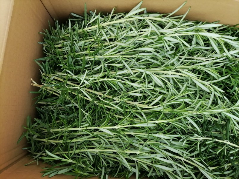 云南特菜野菜价格美丽色泽鲜艳，照片实拍