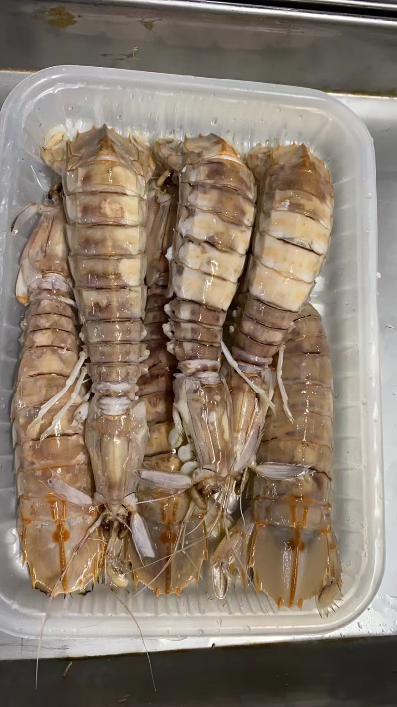 皮皮虾(活煮熟冻，肉质饱满，鲜度100%精品)