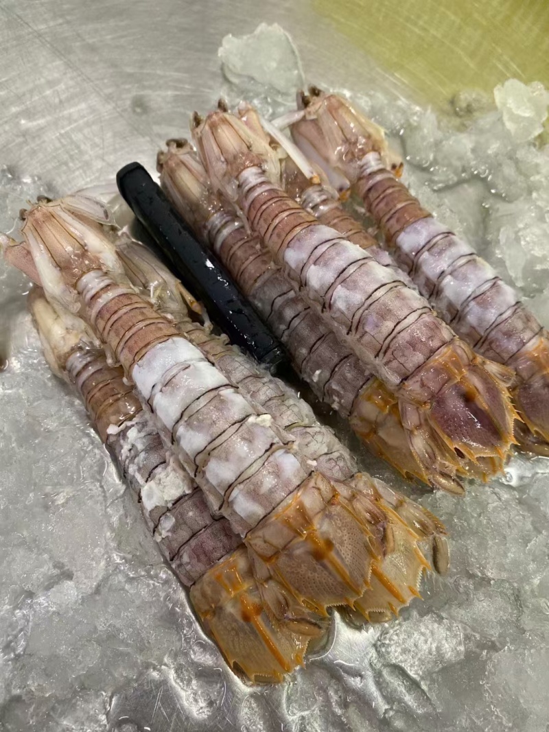 皮皮虾(活煮熟冻，肉质饱满，鲜度100%精品)