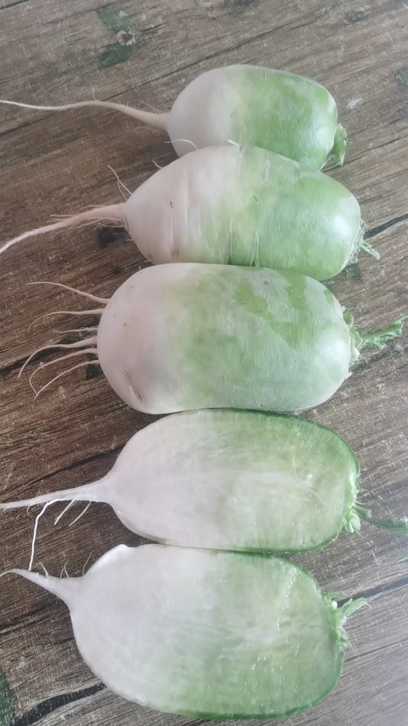 青萝卜绿肉先丰，水果萝卜，高德青脆