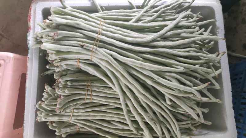 白豆角