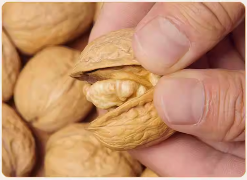 新疆185纸皮核桃老人小孩孕妇经常用脑人群适合。
