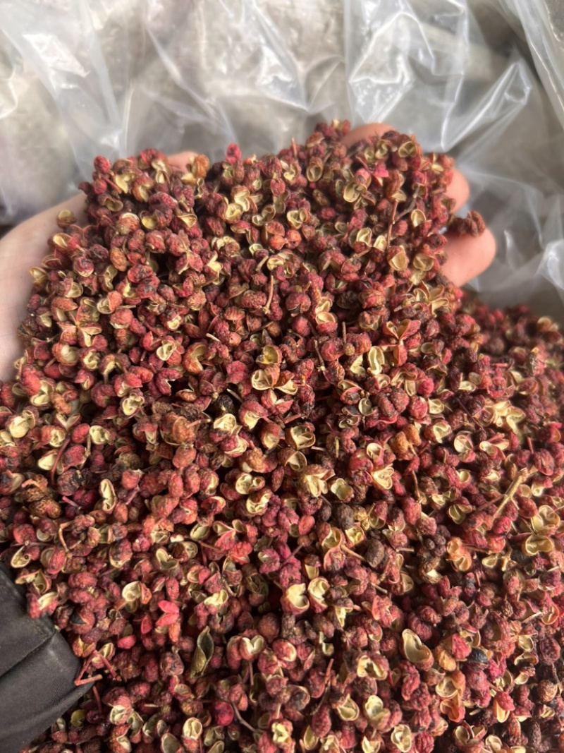 韩城红梅花，颗粒大，颜色红，长期有货，欢迎咨询