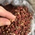 韩城红梅花，颗粒大，颜色红，长期有货，欢迎咨询