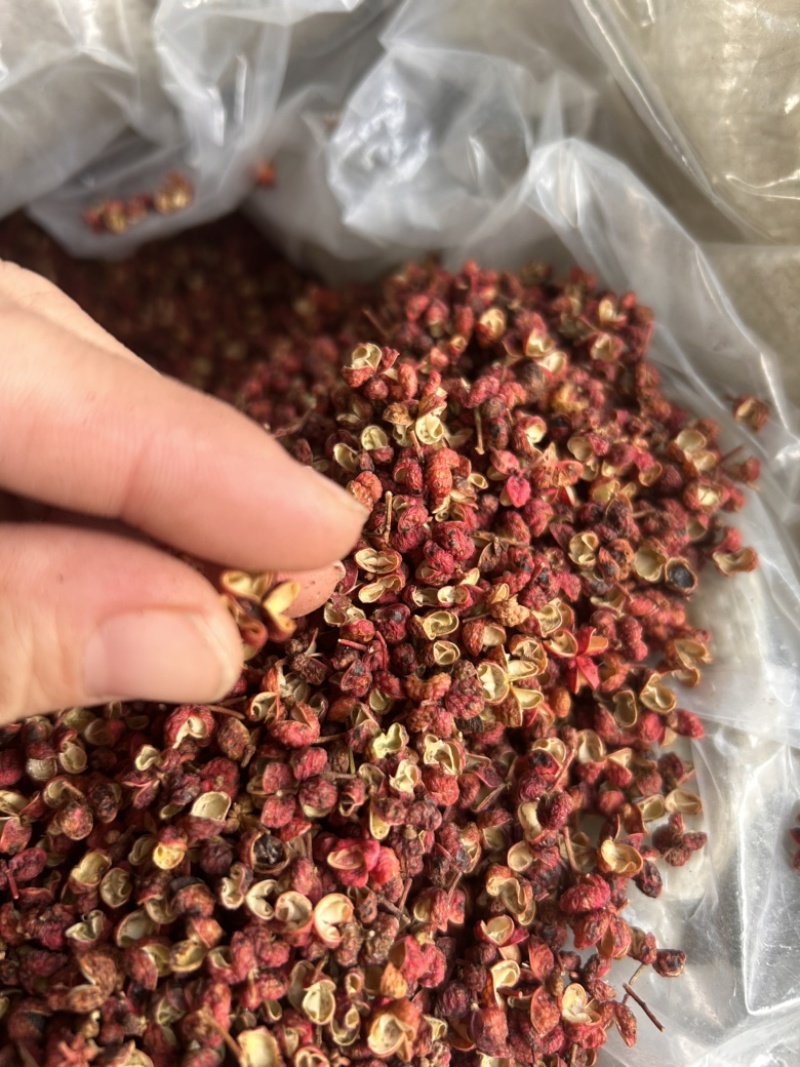 韩城红梅花，颗粒大，颜色红，长期有货，欢迎咨询
