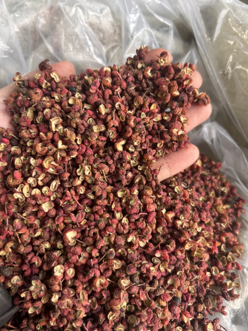 韩城红梅花，颗粒大，颜色红，长期有货，欢迎咨询