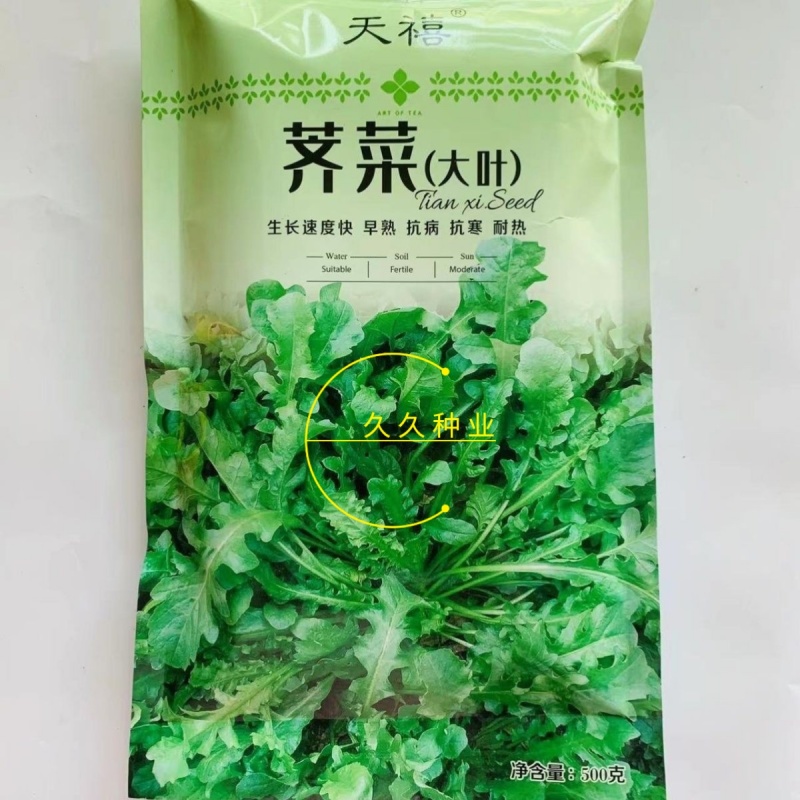 天禧大叶荠菜种子种籽好优质高产耐热抗寒商品性佳