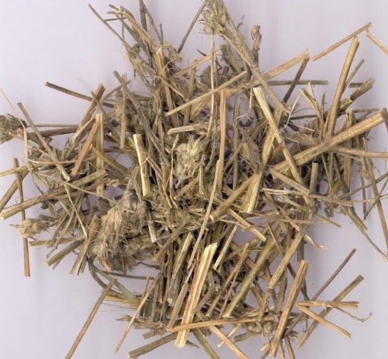 河南伏牛山，野生香薷，干货整株
