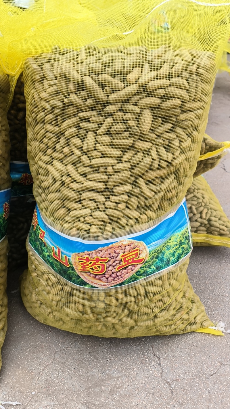 小白嘴山药豆，长山药豆可以炒也可以串的批发零售欢迎订购