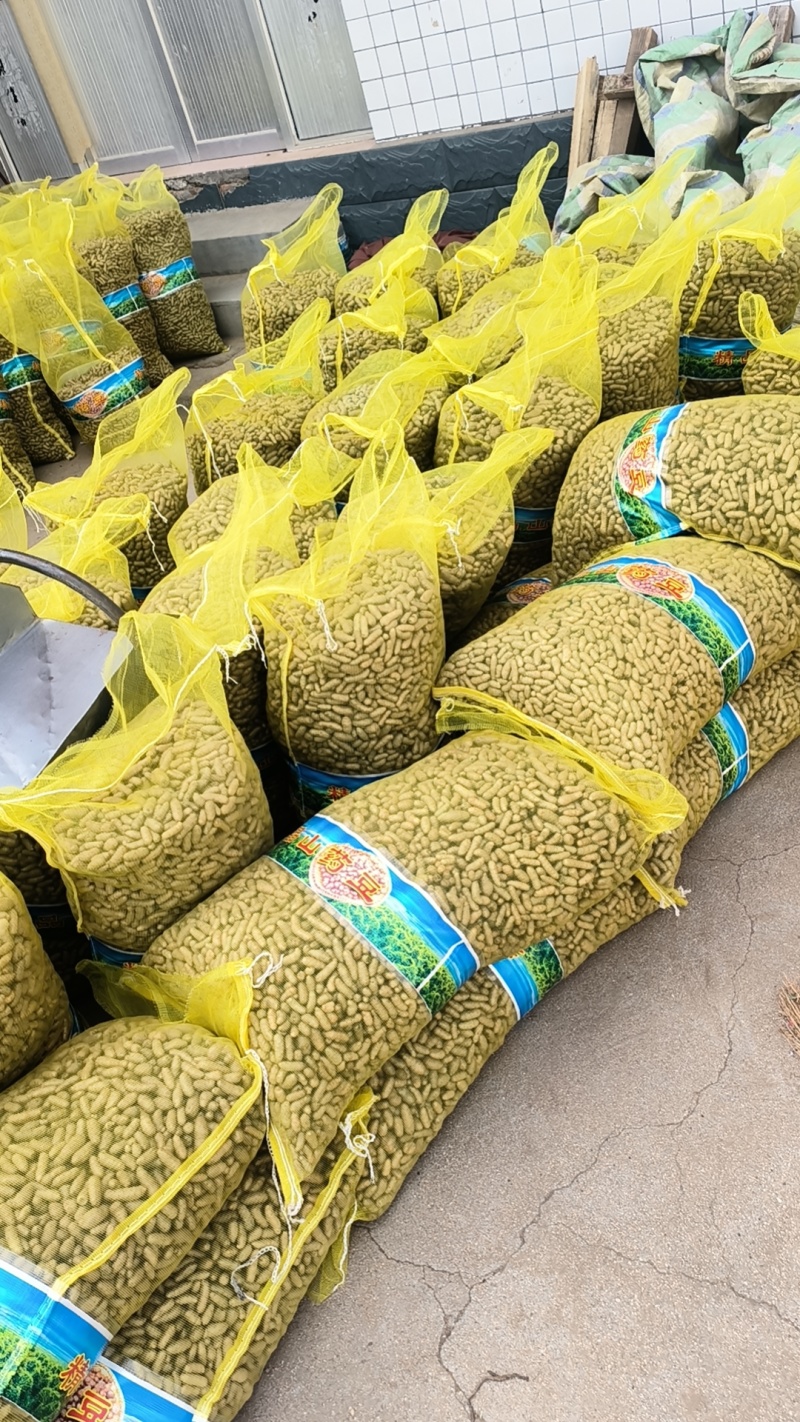 小白嘴山药豆，长山药豆可以炒也可以串的批发零售欢迎订购