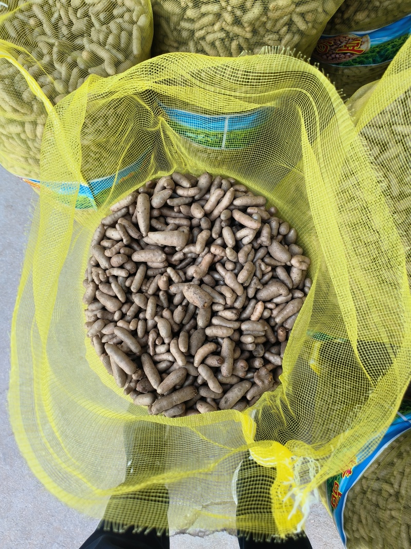 小白嘴山药豆，长山药豆可以炒也可以串的批发零售欢迎订购