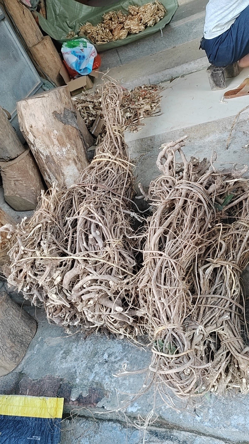 野生五指毛桃长期有货