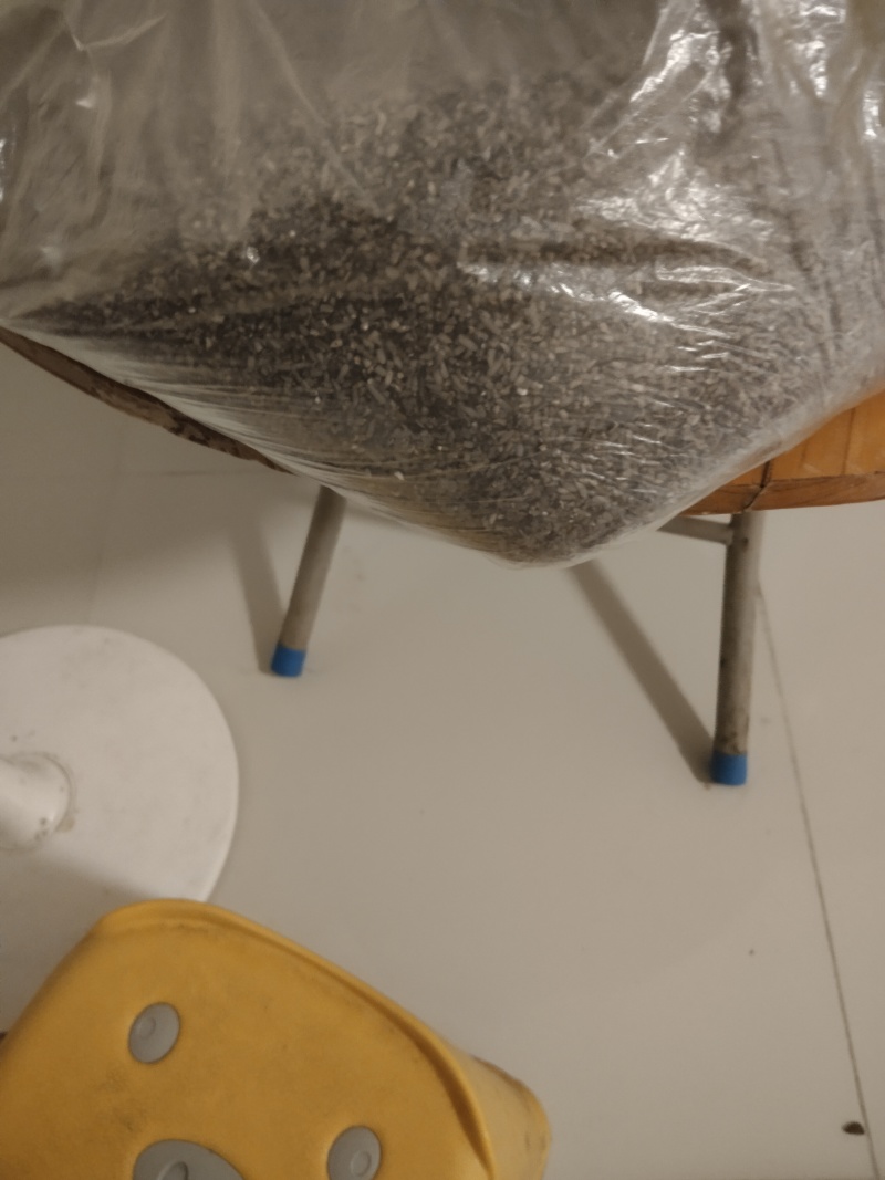 丝苗黑米