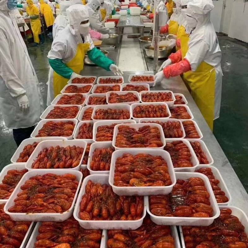 液氮小龙虾，活虾急冻，肉质Q弹，厂家直发品质保证！