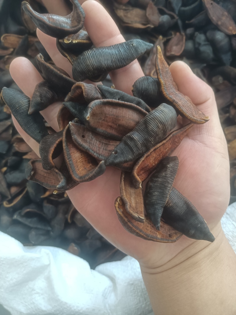 水蛭蚂蝗吊干水蛭批发零售各种中药材