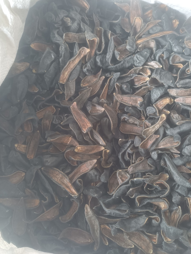 水蛭蚂蝗吊干水蛭批发零售各种中药材