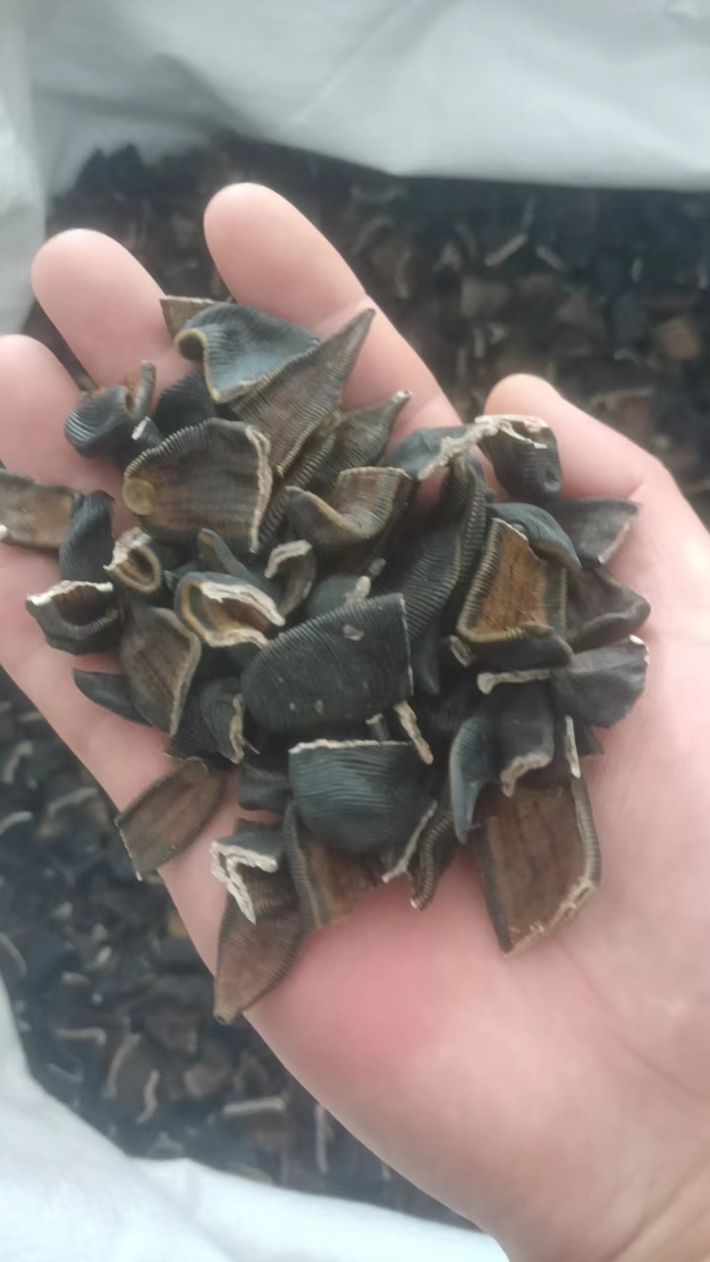 水蛭蚂蝗吊干水蛭批发零售各种中药材