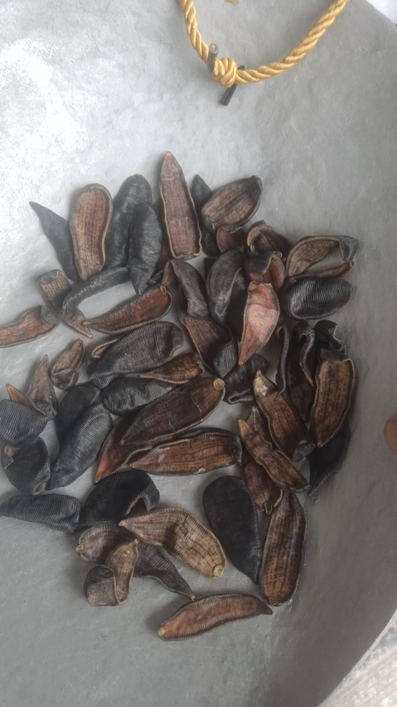 水蛭蚂蝗吊干水蛭批发零售各种中药材