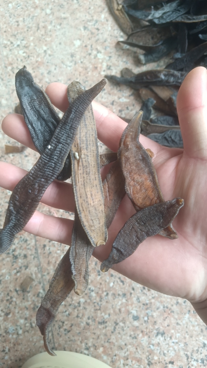 水蛭蚂蝗吊干水蛭批发零售各种中药材