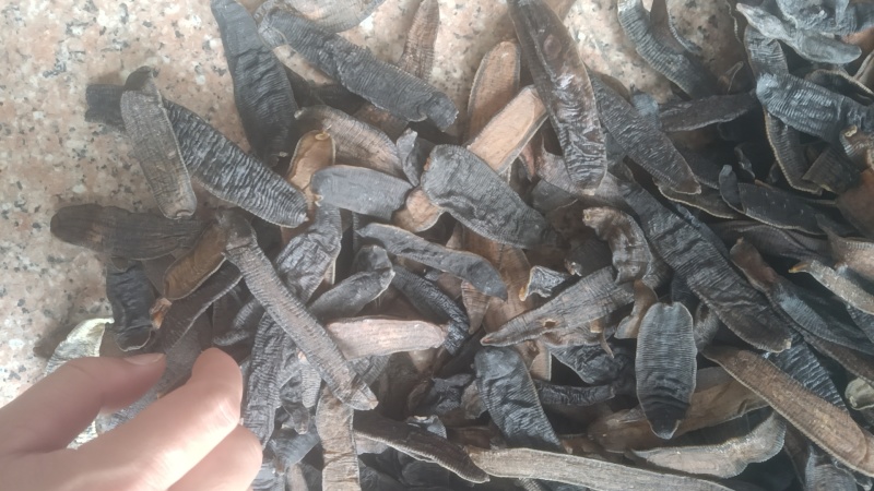水蛭蚂蝗吊干水蛭批发零售各种中药材