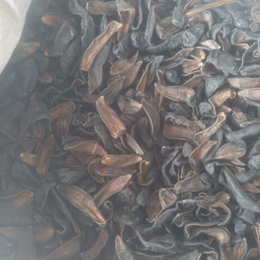 水蛭蚂蝗吊干水蛭批发零售各种中药材
