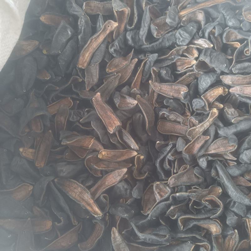 水蛭蚂蝗吊干水蛭批发零售各种中药材