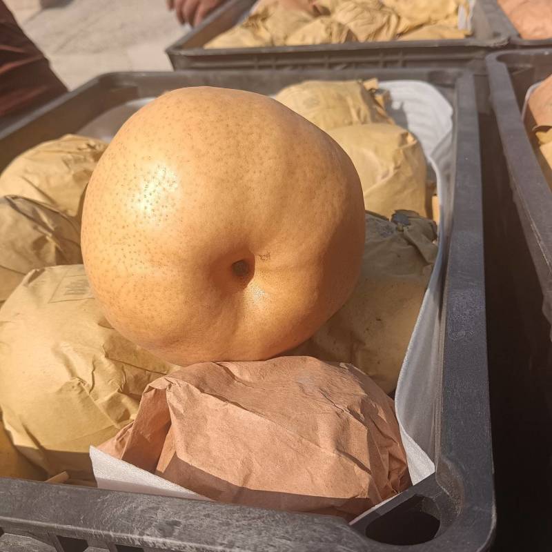爱心梨果