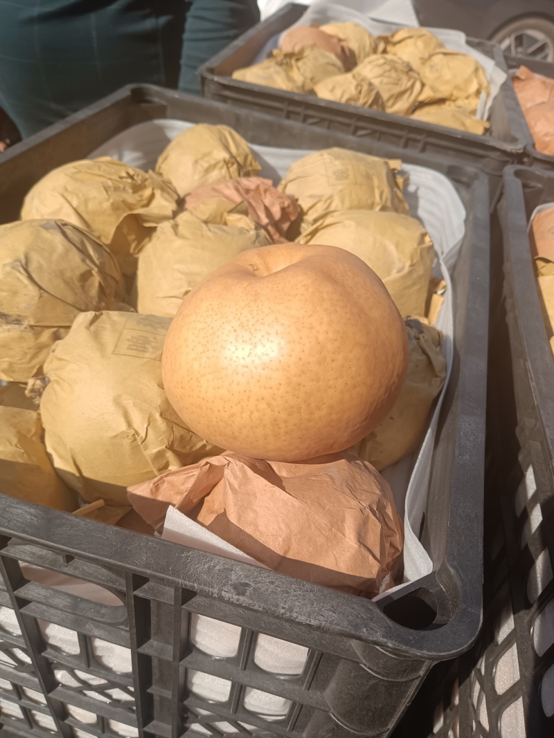 爱心梨果