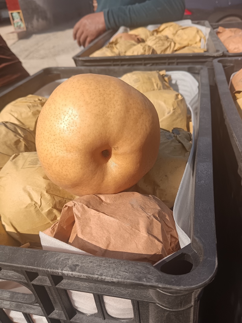 爱心梨果