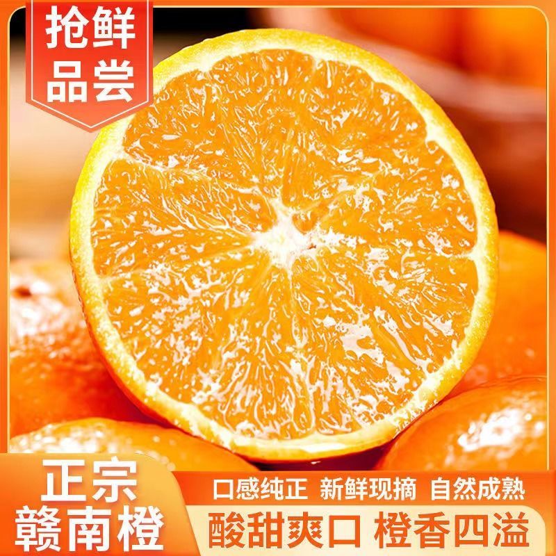 正宗赣南脐橙产地直发量大从优一件代发