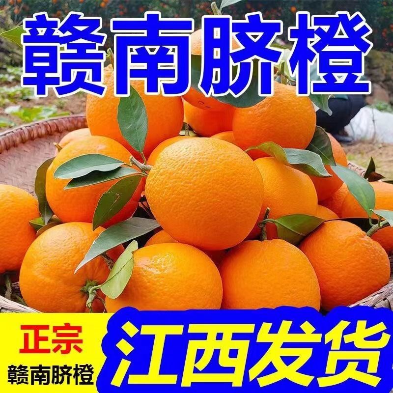 正宗赣南脐橙皮薄肉厚鲜嫩多汁产地直发诚信经营