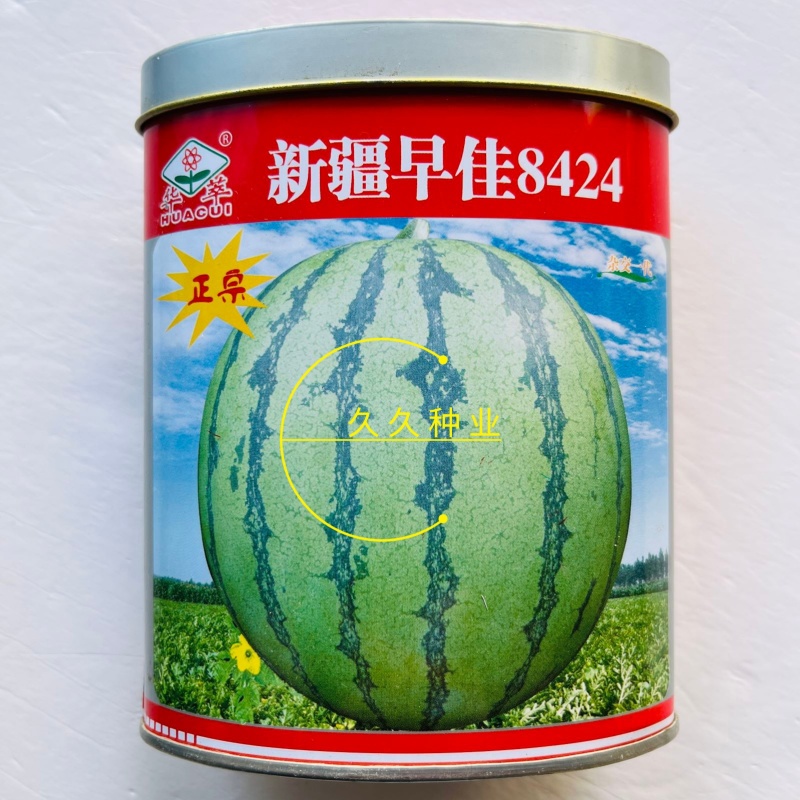 新疆早佳8424西瓜种子早熟种籽大果型四季美都懒汉甜王瓜