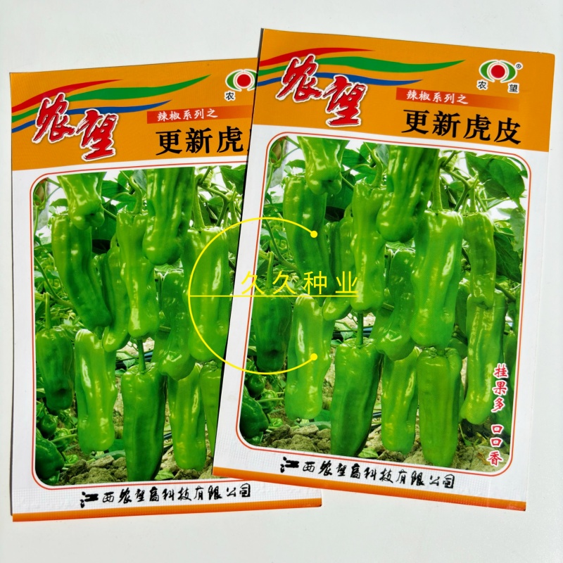 农望更新虎皮辣椒种子杂交泡椒种籽马嘴椒小灯笼形皱皮味辣高