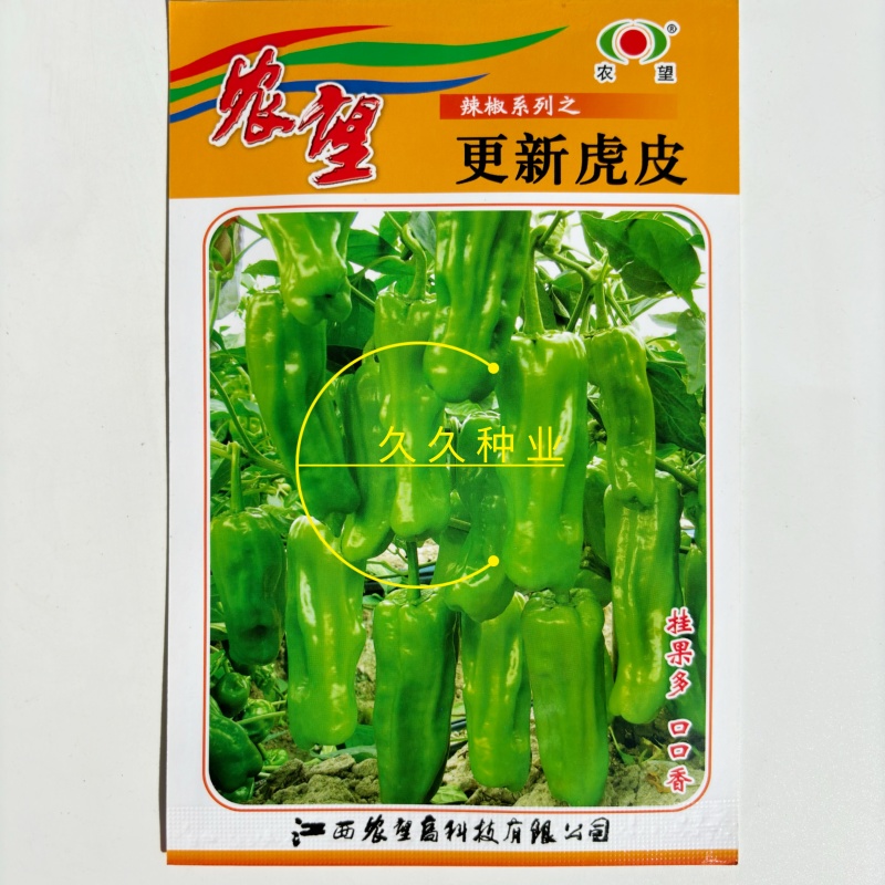 农望更新虎皮辣椒种子杂交泡椒种籽马嘴椒小灯笼形皱皮味辣高