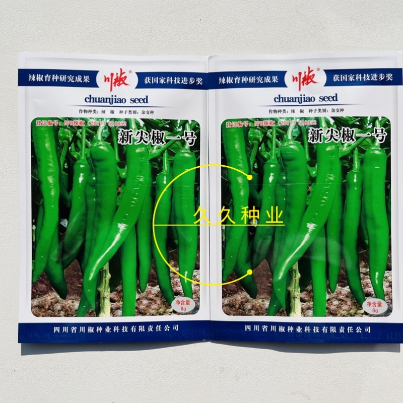 新尖椒一号辣椒种子早熟丰产粗羊角型辣椒种子微辣羊角形