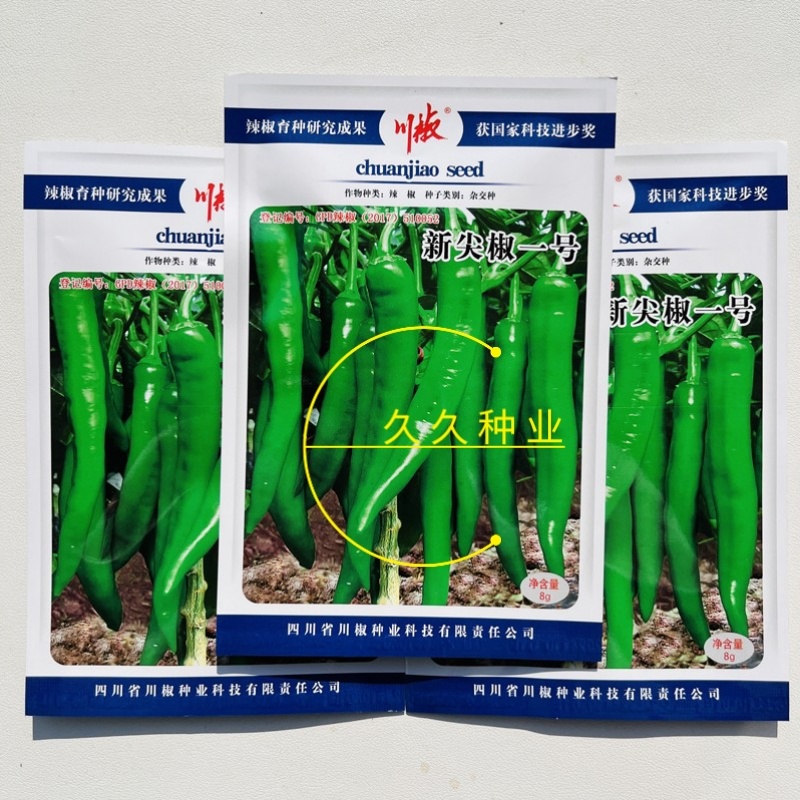 新尖椒一号辣椒种子早熟丰产粗羊角型辣椒种子微辣羊角形