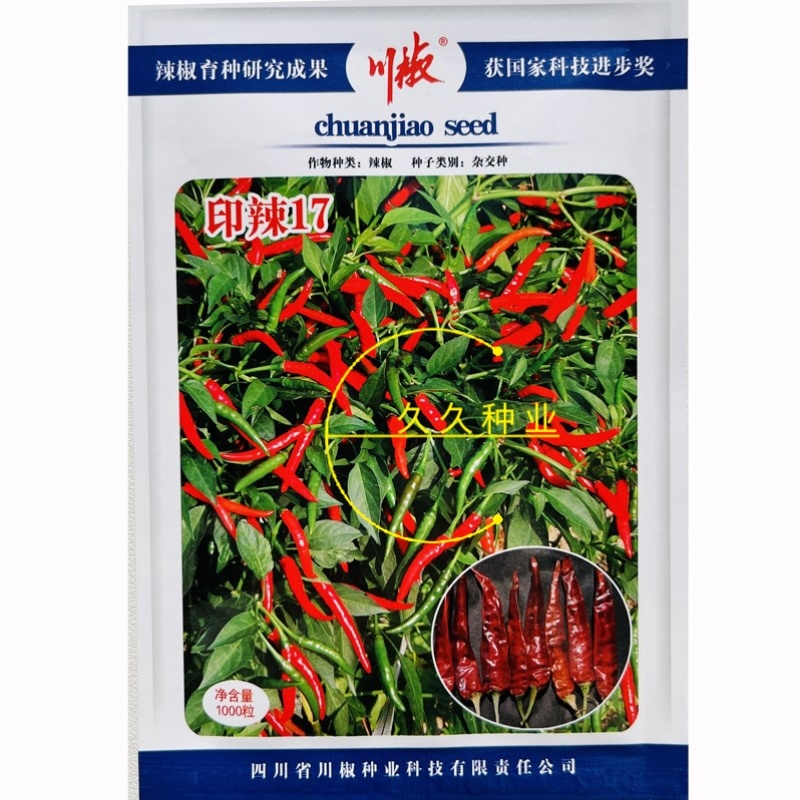 印椒17朝天椒辣椒种子中熟单生朝天椒种籽尖椒红椒干椒大田