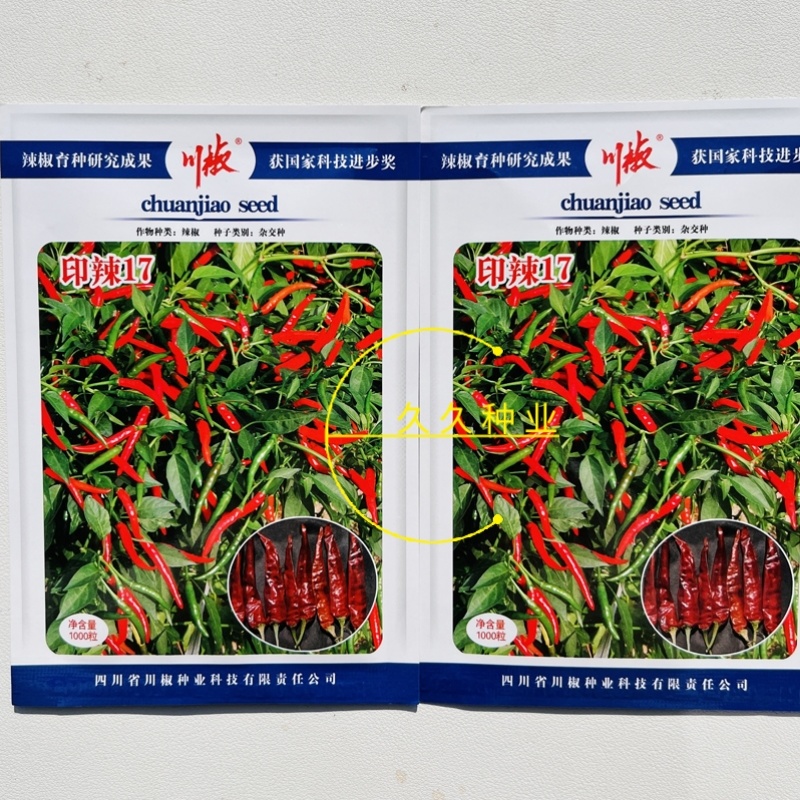 印椒17朝天椒辣椒种子中熟单生朝天椒种籽尖椒红椒干椒大田