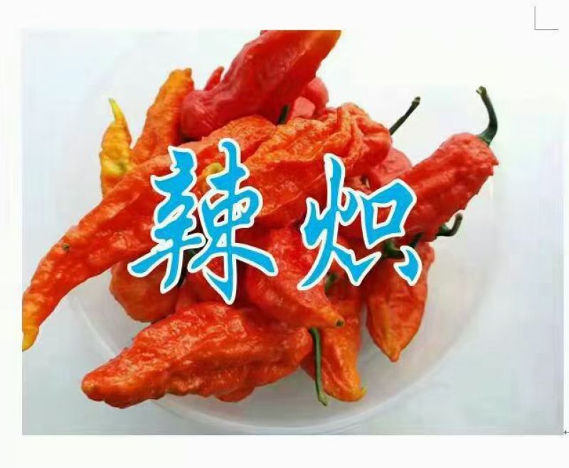 工业辣椒魔鬼椒鲜椒