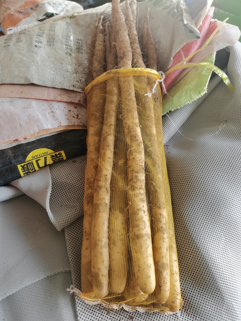 河北小白嘴白山药产地直发，质量好价格优，常年供应代发全国