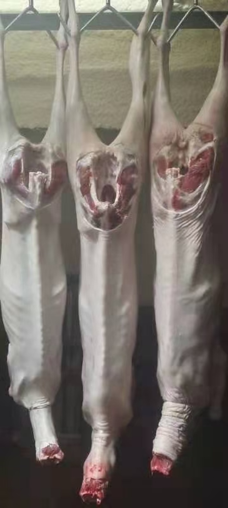 瘦带皮绵羊胴体