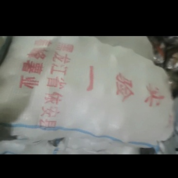 黑龙江省土豆种