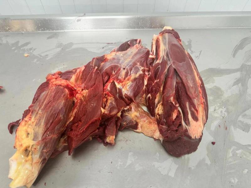 马腱子精修无油马肉马前腱马后腱马腱批发