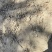 安庆几百亩山林地流转，可种中药材果树苗圃养殖鸡鸭鹅羊等
