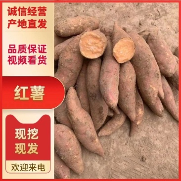 红薯*龙九，加工厂、市场、电商平台，生鲜配送，各种包装