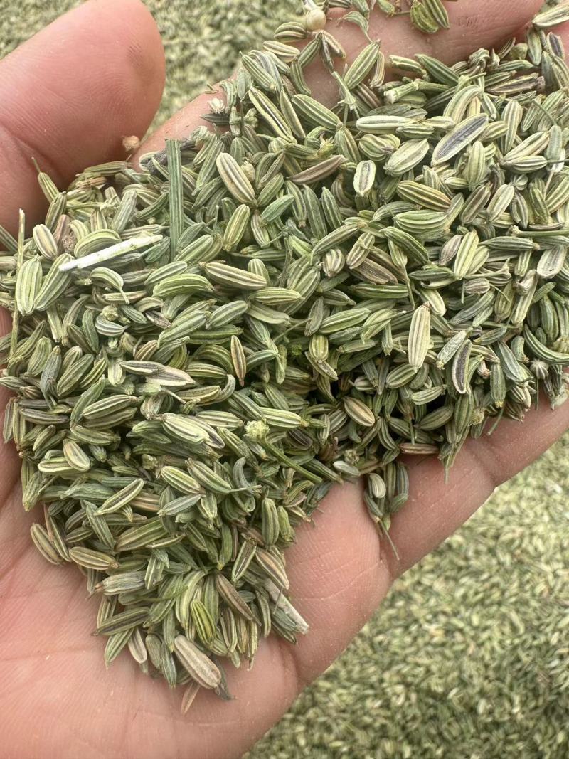 小茴香精品小茴香香料一手货源品质保证可视频欢迎下单