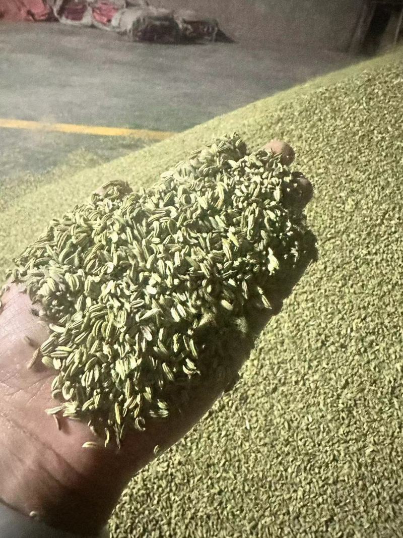 小茴香精品小茴香香料一手货源品质保证可视频欢迎下单