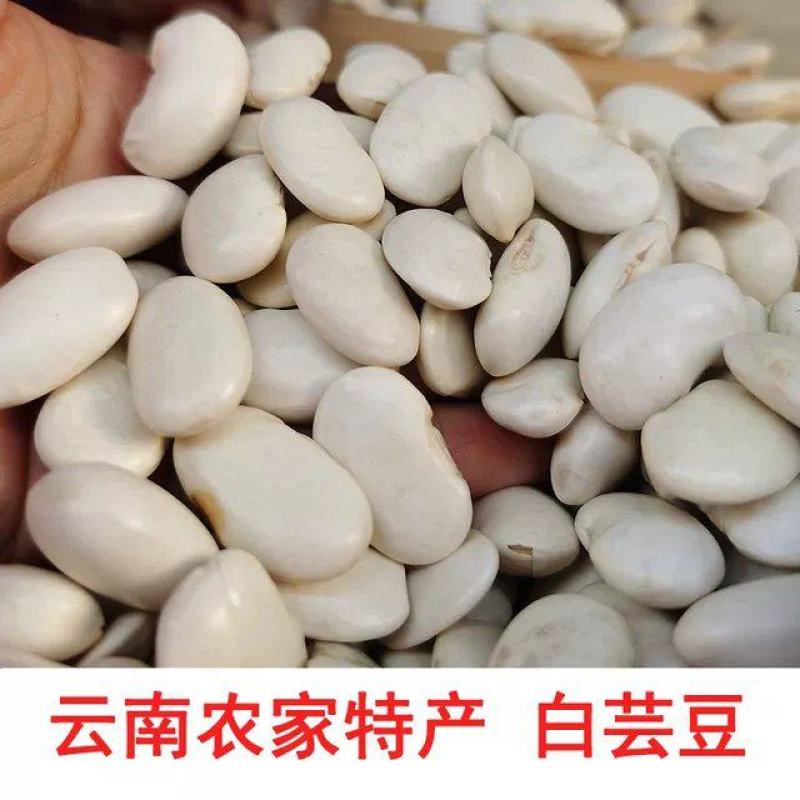 云南高山白芸豆，65粒。干度好，性价比高！